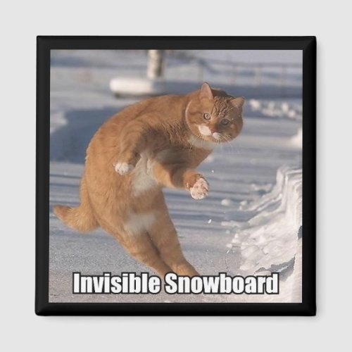 invisible snowboard magnet magnet