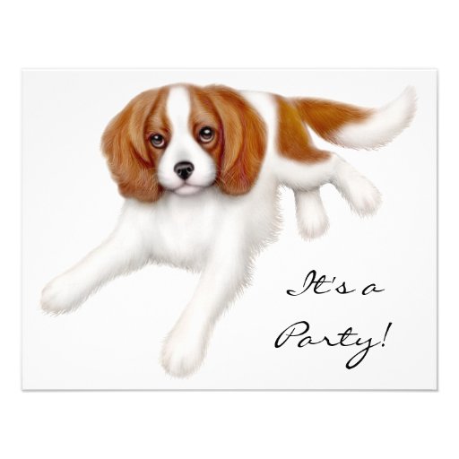 Invitación arrogante del perro de aguas de rey Cha