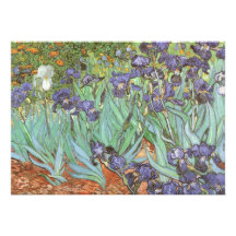 Invitación de la fiesta de cumpleaños, iris Vincen