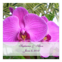 Invitación del boda de la orquídea de las rosas fu
