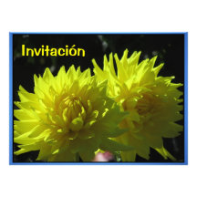 Invitación - Fiesta de Cumpleaños - Las Dalias Personalized Announcement