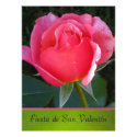 Invitación - Fiesta de San Valentín - Rosa rosa Personalized Announcements