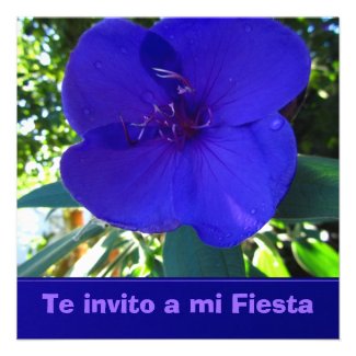 Invitación - Te invito a mi Fiesta Personalized Invites