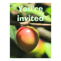 Invitation - Birthday Party