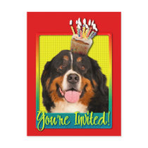 Invitation Cupcake - Bernese Mountain Dog Post Card
