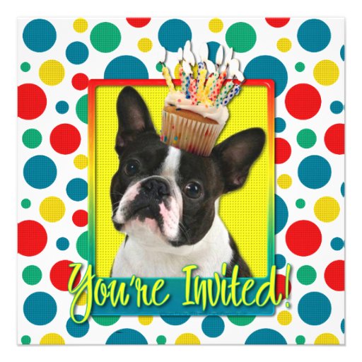 Invitation Cupcake - Boston Terrier