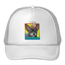 Invitation Cupcake - Chihuahua - Isabella Mesh Hats
