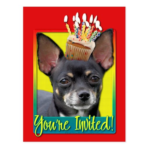 Invitation Cupcake - Chihuahua - Isabella Postcard