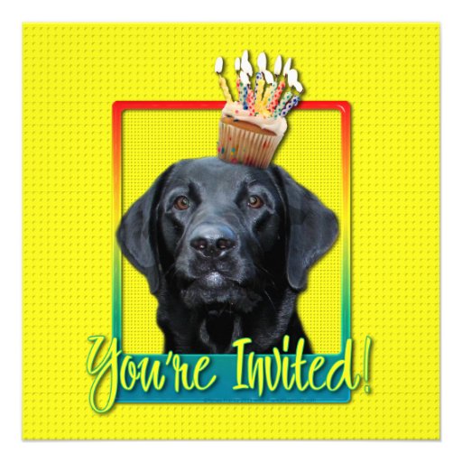 Invitation Cupcake - Labrador - Black - Gage