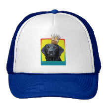 Invitation Cupcake - Labrador - Black - Gage Mesh Hats
