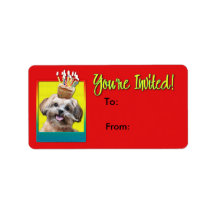 Invitation Cupcake - ShihPoo - Maggie Personalized Address Label