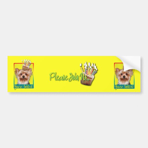 Invitation Cupcake - Yorkshire Terrier Bumper Sticker