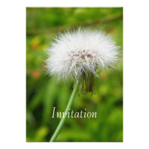 Invitation Dandelion invitations