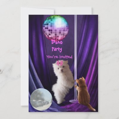 invitation_disco_party_dog_cat_maltese_puppy-p1613855950255827512l537_400.jpg