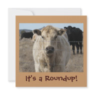 Invitation It's a Roundup! Cattle - Western invitation