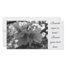 Invitation of Wedding Personalized Photo Card