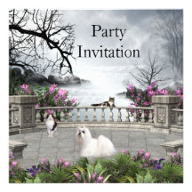 Invitation Party Cats Dog Meeting Place