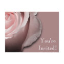Invitation Postcard