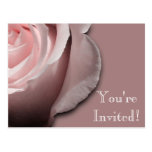 Invitation Postcard