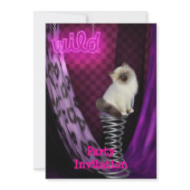 Invitation Wild Kitten on a Stool