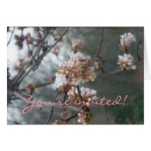 Invitation (Winter Blossom) Card