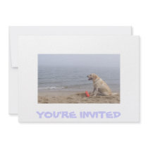 Invitation with Labrador photo by AngieBoyarsky Invitation with Labrador photo