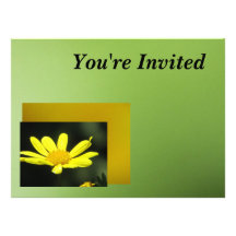 Invitation - Yellow Daisy - Multipurpose Card