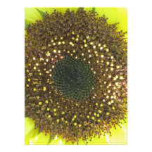 Invitation - Yellow Sunflower - Multi-occasion