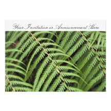 Invitations or Innouncements with Fern Motif