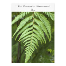Invitations or Innouncements with Fern Motif