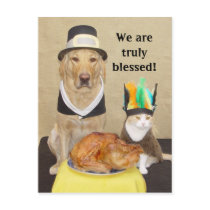 Invite a friend for Thanksgiving! postcards