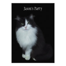 Invite Birthday Party Cat On Black