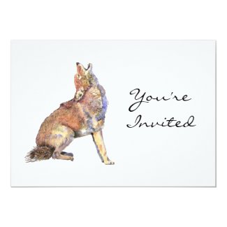 Invite, Invitation,,Coyote Animal, Wilderness 5x7 Paper Invitation Card
