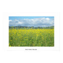 Inviting fields posters