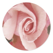 Inviting Rose stickers by rosedead Inviting Rose stickers