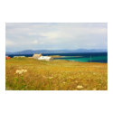 Iona island, Scotland , beautiful summer posters