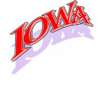Iowa caps shirt