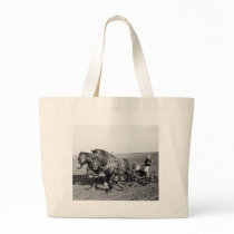 Iowa Corn Planter, 1940s Bags