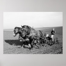 Iowa Corn Planter, 1940s Poster