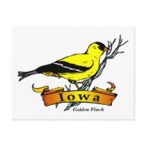 Iowa Goldfinch Postcards