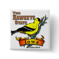 Iowa Hawkeye Finch Pinback Buttons