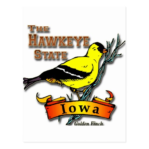 Iowa Hawkeye Finch Post Cards
