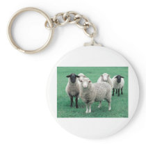 Iowa Sheep Key Chains
