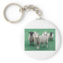 Iowa Sheep Key Chains