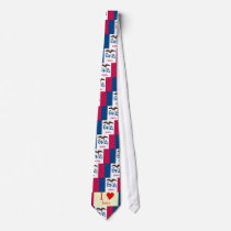 Iowa State Flag Tie