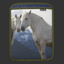 iPad Cover Draft Horse ipad sleeves