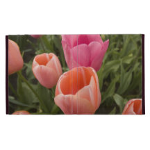iPad Cover iPad Cases
