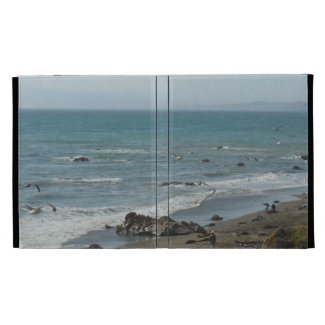 iPad Folio: Coast at Moonstone Beach, Cambria, CA iPad Folio Cover