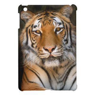 iPad Mini Glossy Finish Case iPad Mini Covers