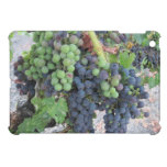ipad mini: Grapes on the Vine ipad mini cases